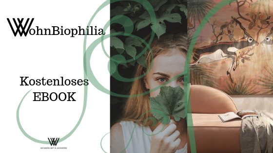 BIOPHILIA: Mensch und Natur in der Innenarchitektur ohnBiophilia